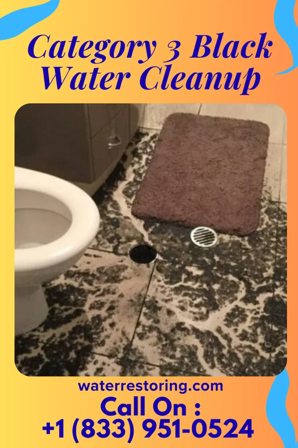 Category 3 Black Water Cleanup in Alvan, IL