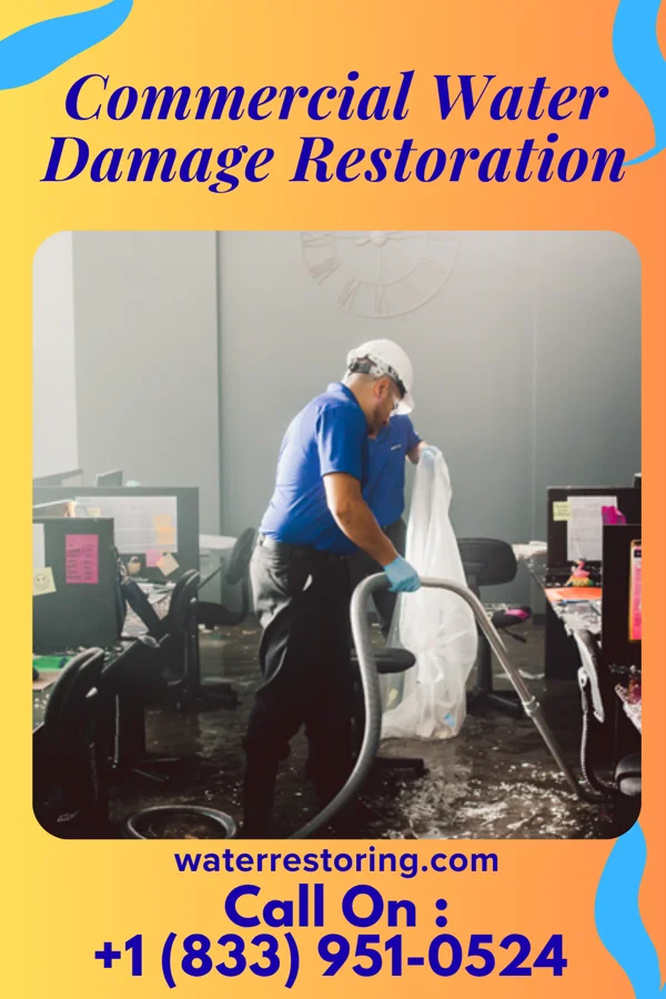 Commercial Water Damage Restoration in Alvan, IL