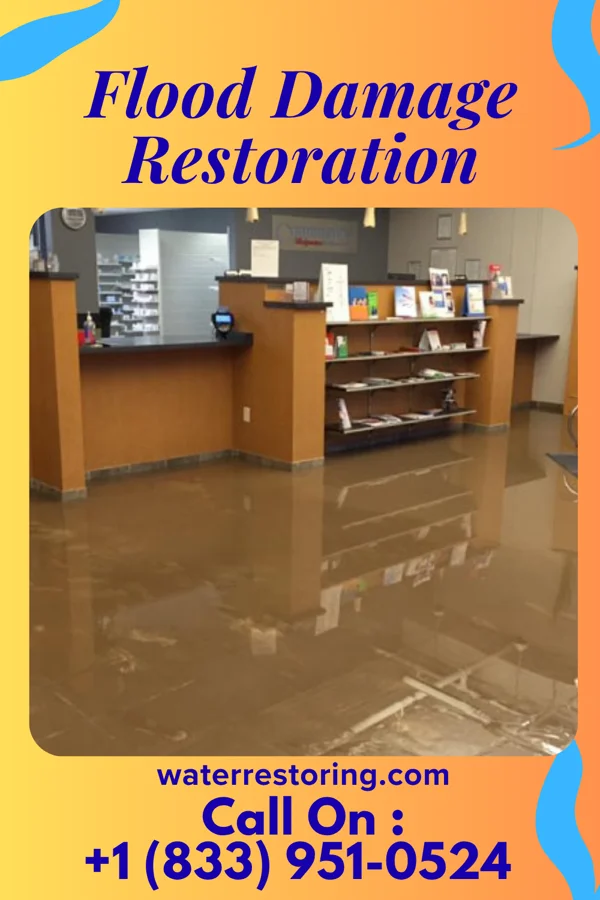 Flood Damage Restoration in Alvan, IL