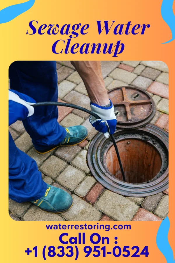 Sewage Water Cleanup in Alvan, IL
